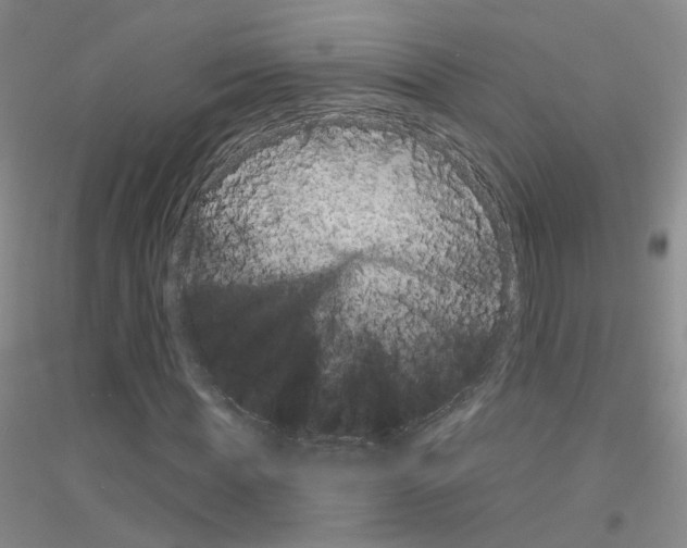 X0000116890819201002021207