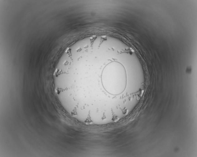 X0000116890820201002021207