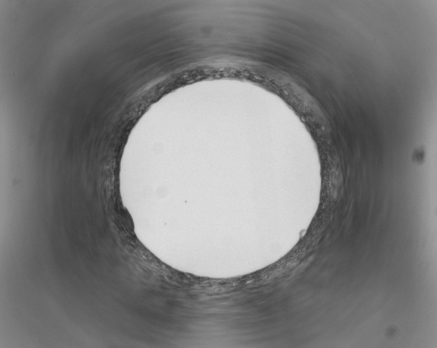 X0000116890821201002021207