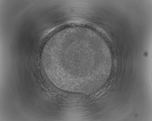 X0000116890822201002021207