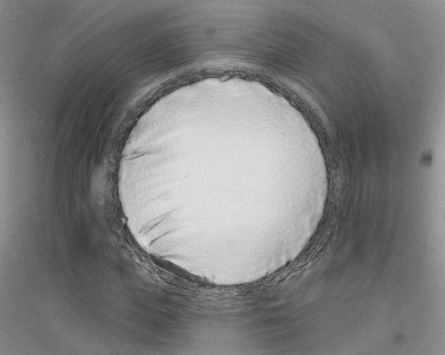 X0000116890823201002021207