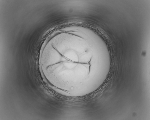 X0000116890824201002021207