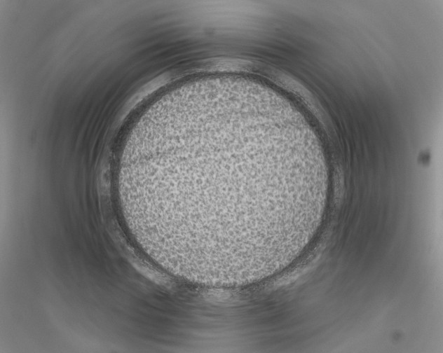 X0000116890827201002021207