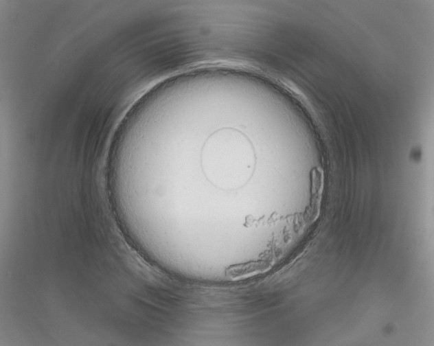 X0000116890828201002021207