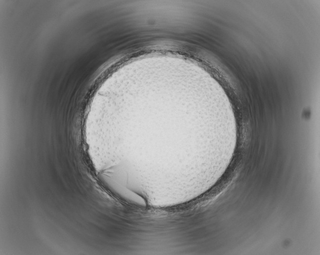 X0000116890829201002021207