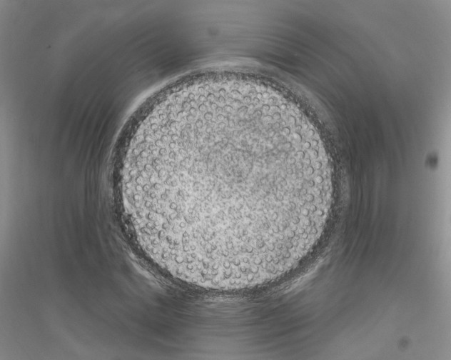 X0000116890830201002021207