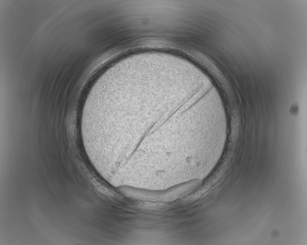 X0000116890831201002021207