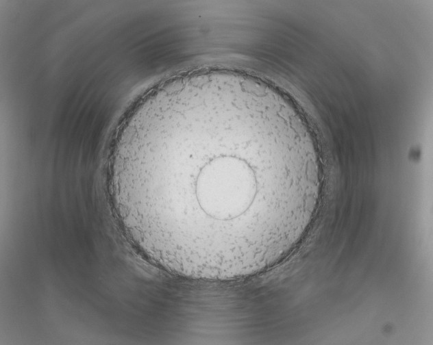 X0000116890832201002021207