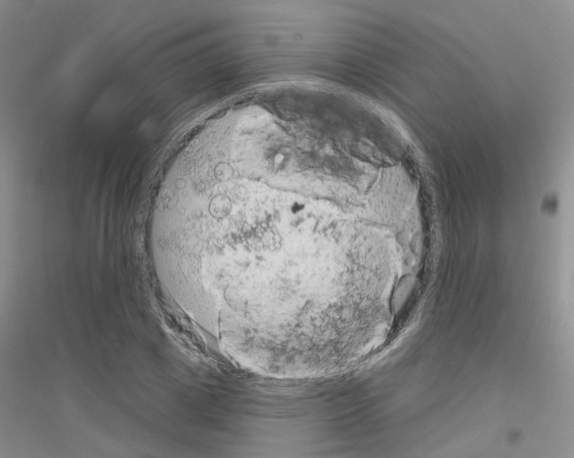 X0000116890833201002021207