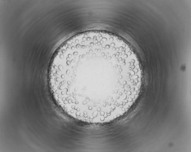 X0000116890834201002021207