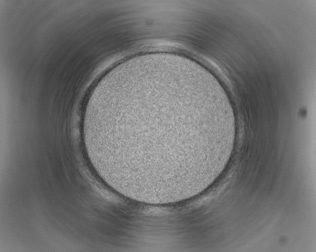 X0000116890835201002021207