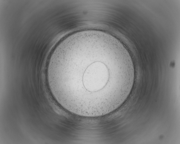 X0000116890836201002021207