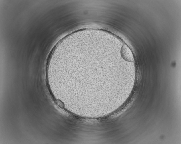 X0000116890837201002021207