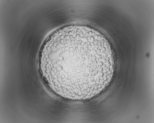 X0000116890838201002021207