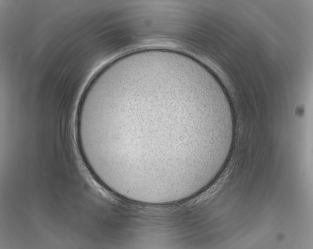 X0000116890840201002021207