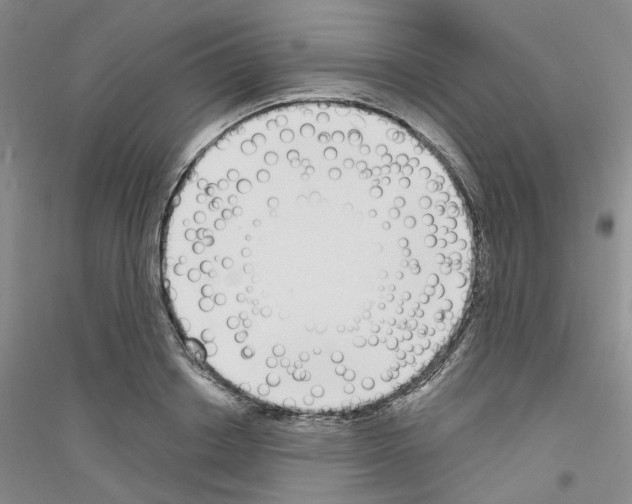 X0000116890842201002021207