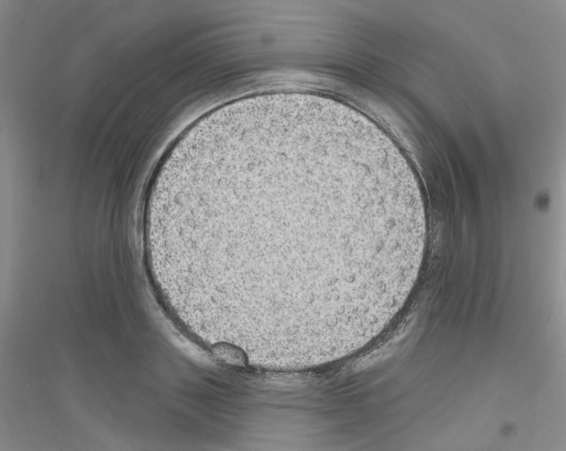 X0000116890843201002021207