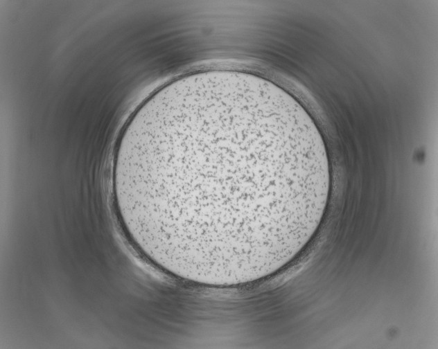 X0000116890844201002021207