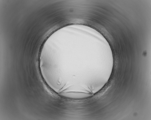 X0000116890845201002021207