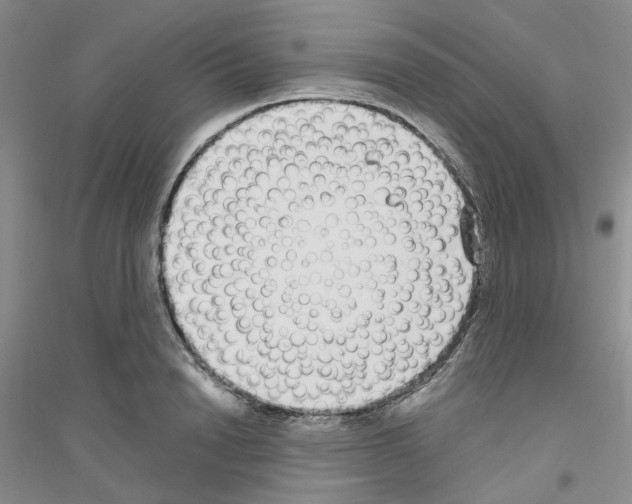 X0000116890846201002021207