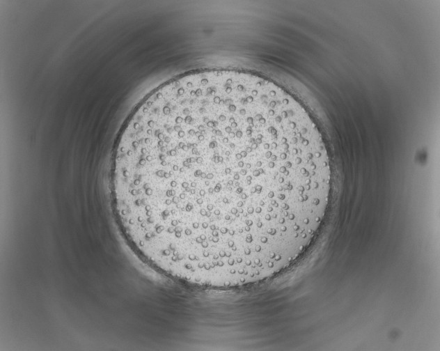 X0000116890847201002021207