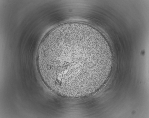 X0000116890848201002021207