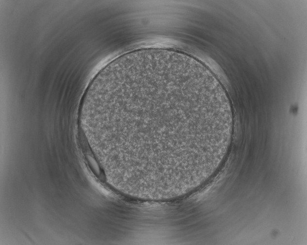 X0000116890850201002021207