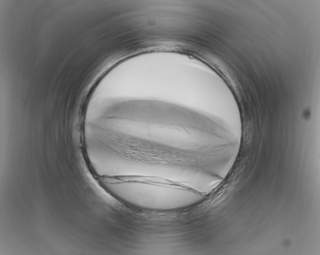 X0000116890851201002021207