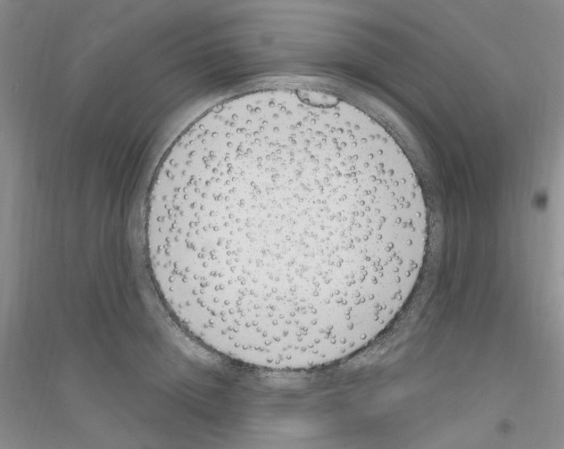 X0000116890852201002021207