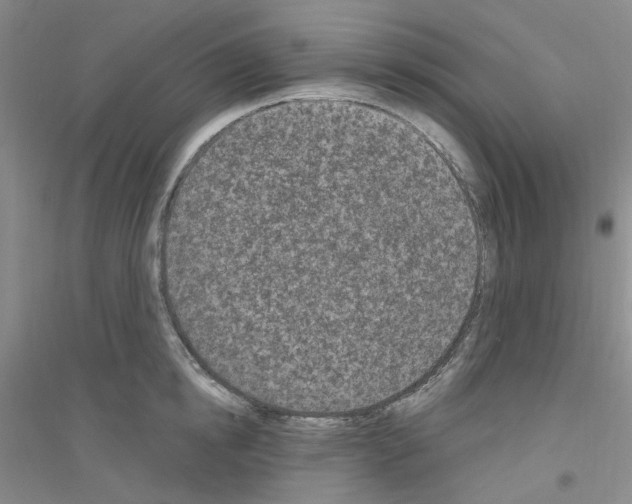 X0000116890854201002021207