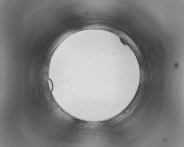 X0000116890860201002021208