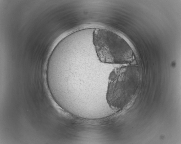 X0000116890861201002021208