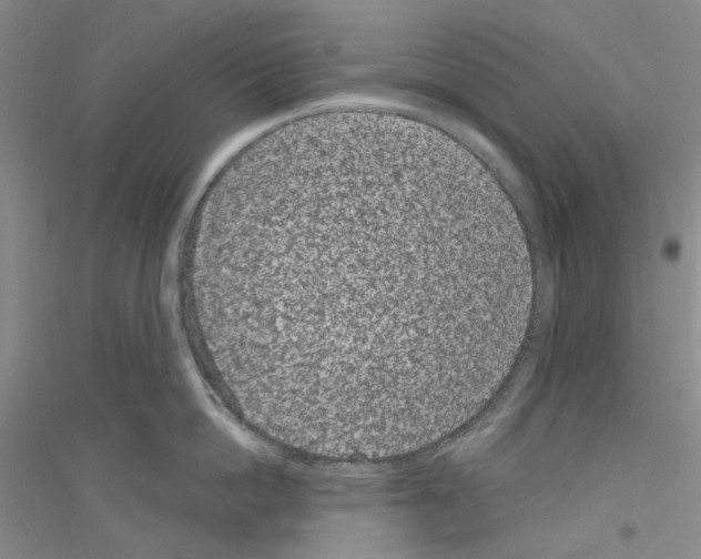 X0000116890862201002021208