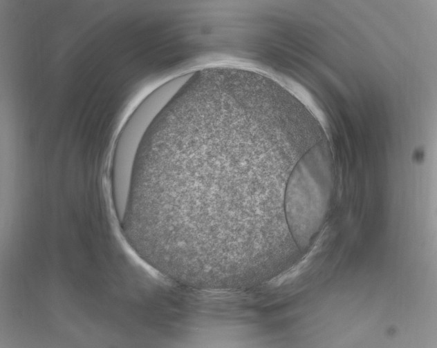 X0000116890863201002021208