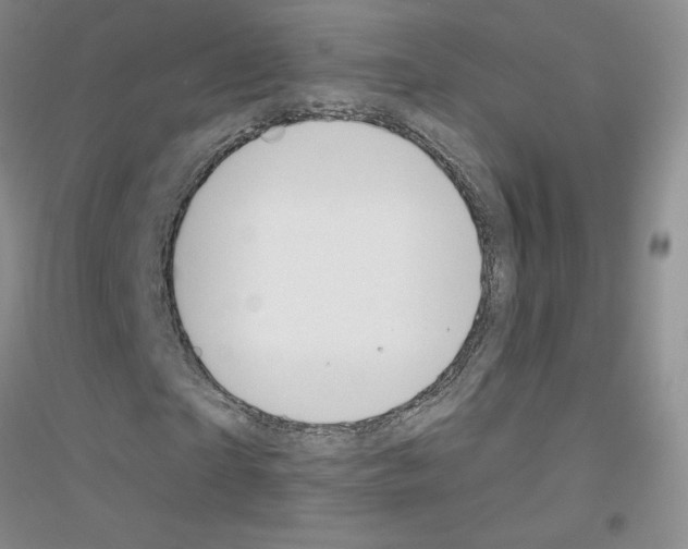 X0000116890865201002021207