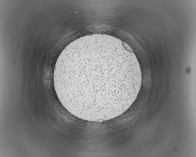 X0000116890866201002021207