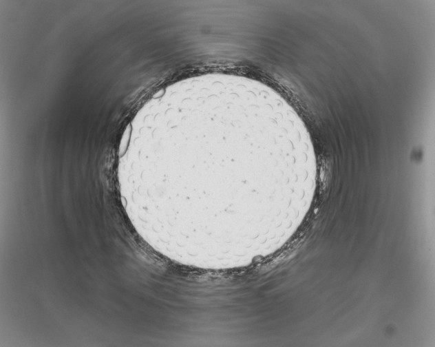 X0000116890867201002021207