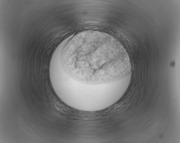 X0000116890868201002021207