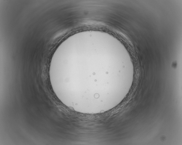 X0000116890869201002021207