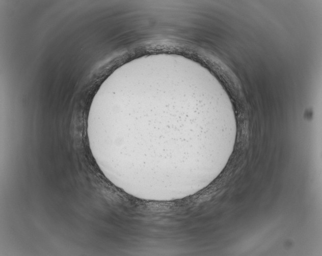 X0000116890870201002021207