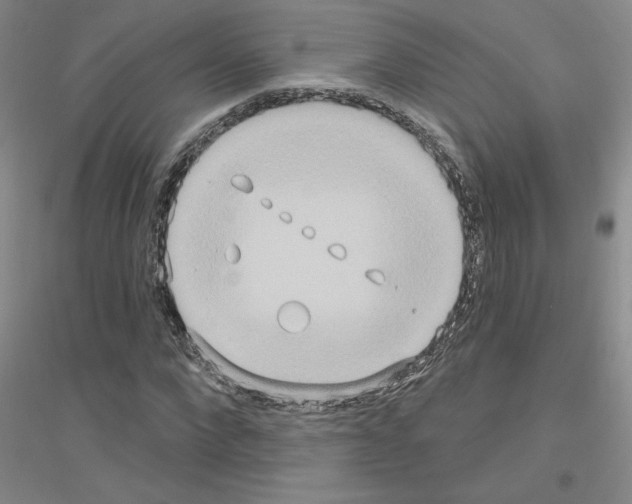 X0000116890872201002021207