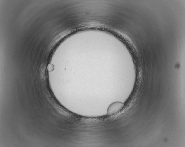 X0000116890873201002021207