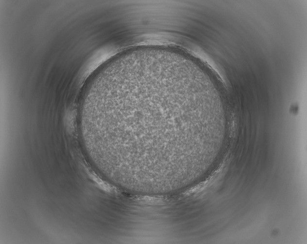 X0000116890874201002021207