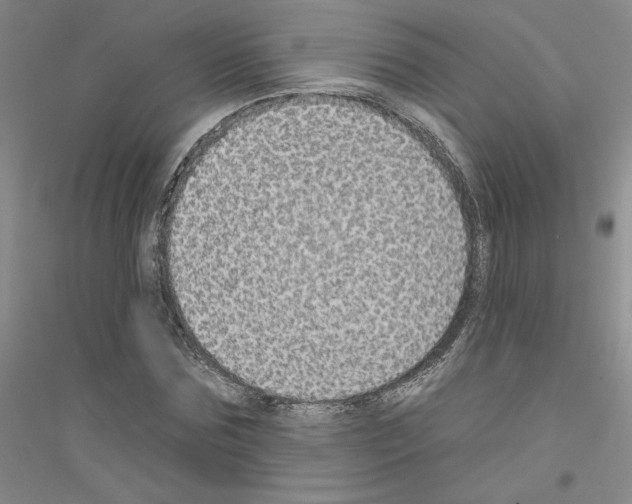 X0000116890875201002021207