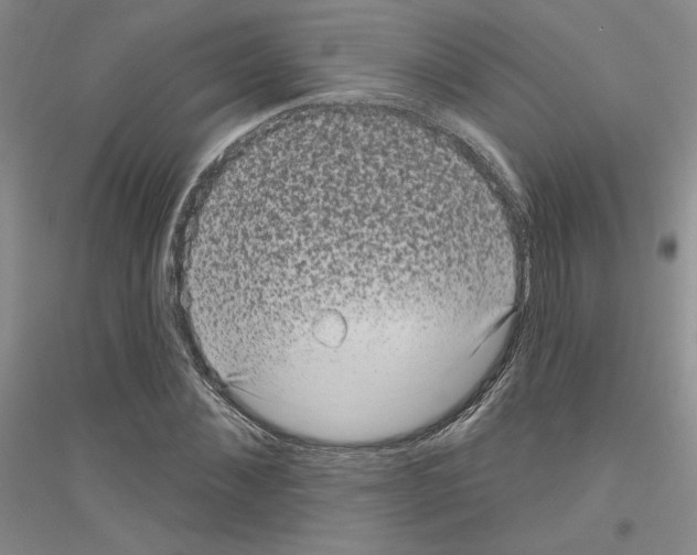 X0000116890876201002021207