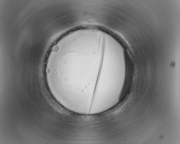 X0000116890879201002021207