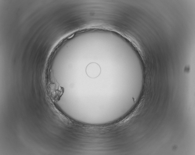 X0000116890880201002021207