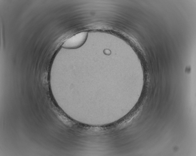 X0000116890881201002021207