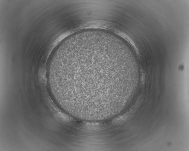 X0000116890882201002021207