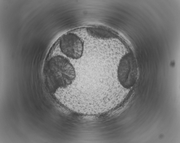 X0000116890883201002021207